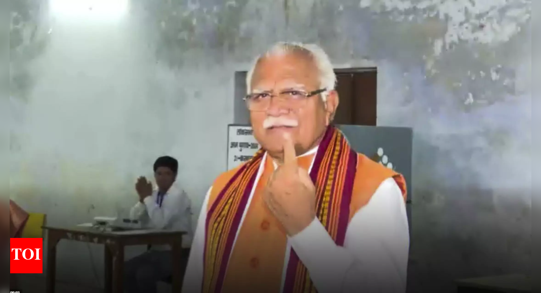Lok Sabha polls: Haryana records 46.26 pc turnout till 3 pm | India News - Vimarsana News