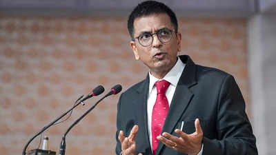 What CJI DY Chandrachud said after casting his vote