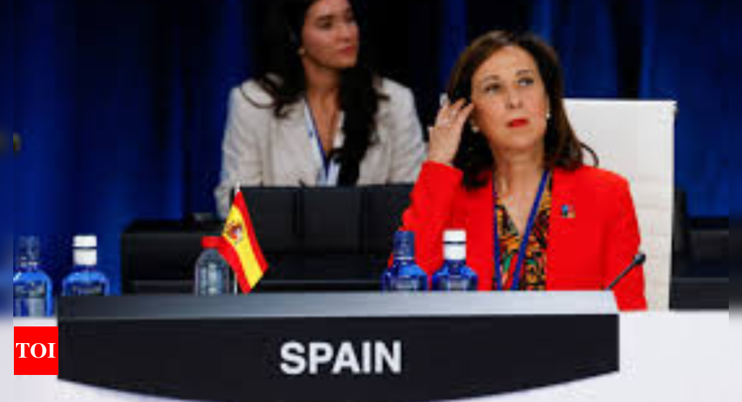 Spanish defence minister says Gaza war is ‘real genocide’ – Times of India