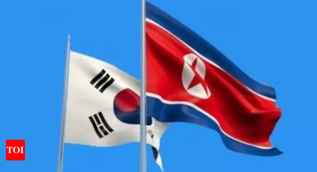 ‘Will act immediately’: North Korea accuses US, South Korea of flying spy planes, ships – Times of India