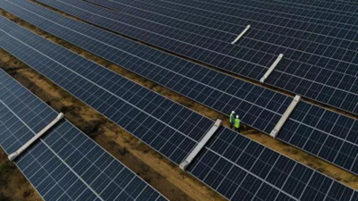 Green jobs on the rise in India's renewable energy industry