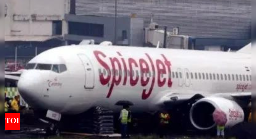 Leh-bound SpiceJet plane suffers bird hit; returns to Delhi | India News - Vimarsana News