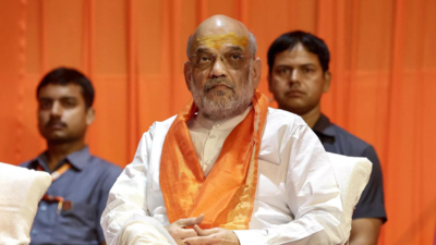 After successful J&K elections, next step assembly polls & statehood: Amit Shah