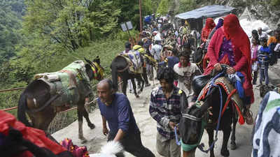 19 mules die in Kedarnath in 15 days of yatra, mostly due to colic