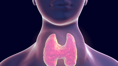 Understanding thyroid conditions: Structure, function, and care
