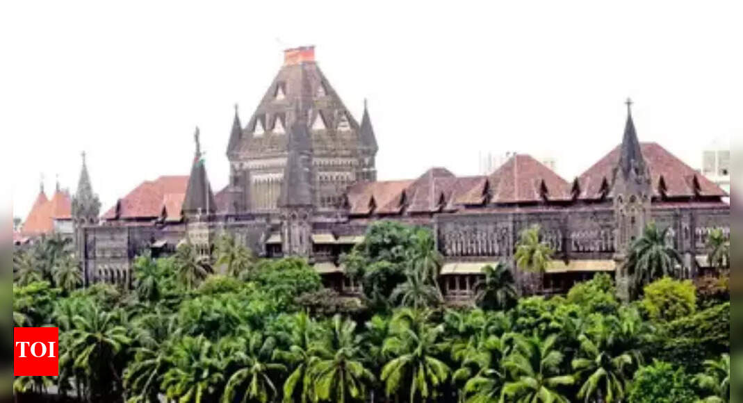 Bombay HC allows demolition for Mithi river widening project to proceed unhindered | India News - Vimarsana News