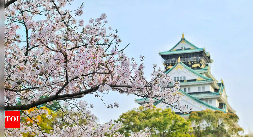 Planning a trip to Japan? 5 important tips to remember for your trip - Vimarsana News