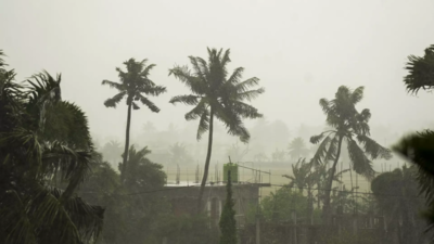KMDA shuts lakes and parks as cyclone 'Remal' preventive measures