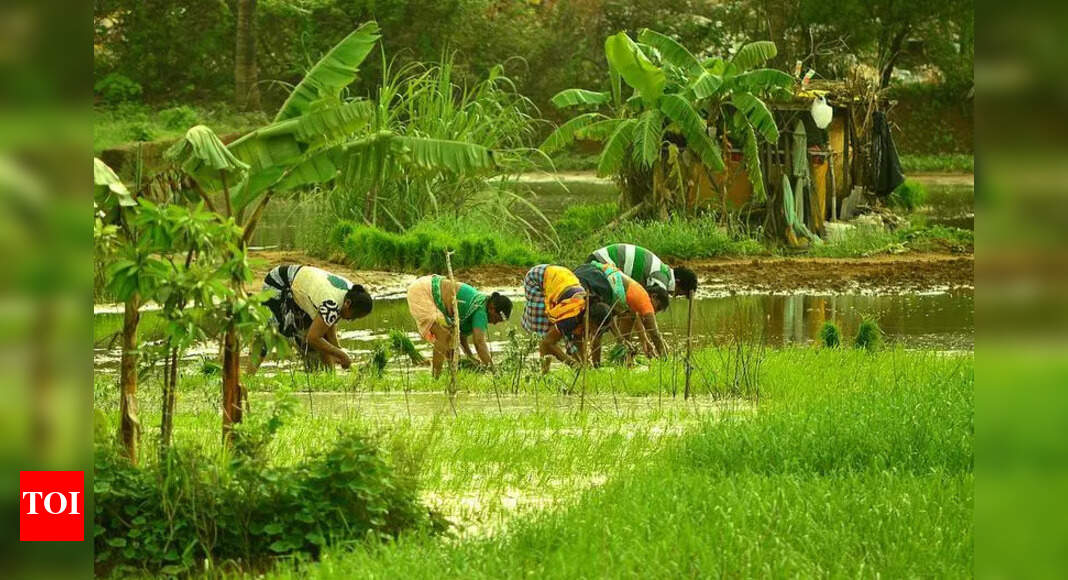 As rains near, Salcete farmers prepare fields for kharif crop | Goa ...