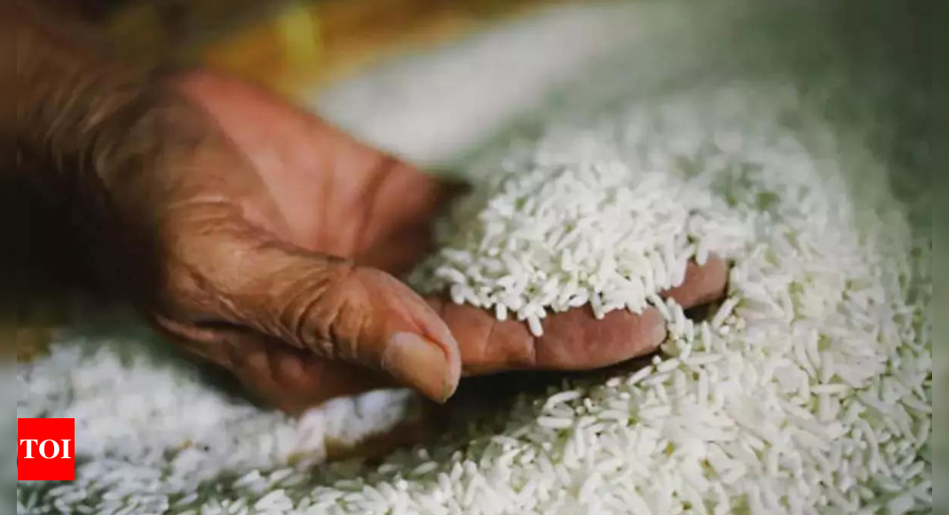 Government to launch study on non-Basmati rice market amid rising prices despite surplus stock | India News