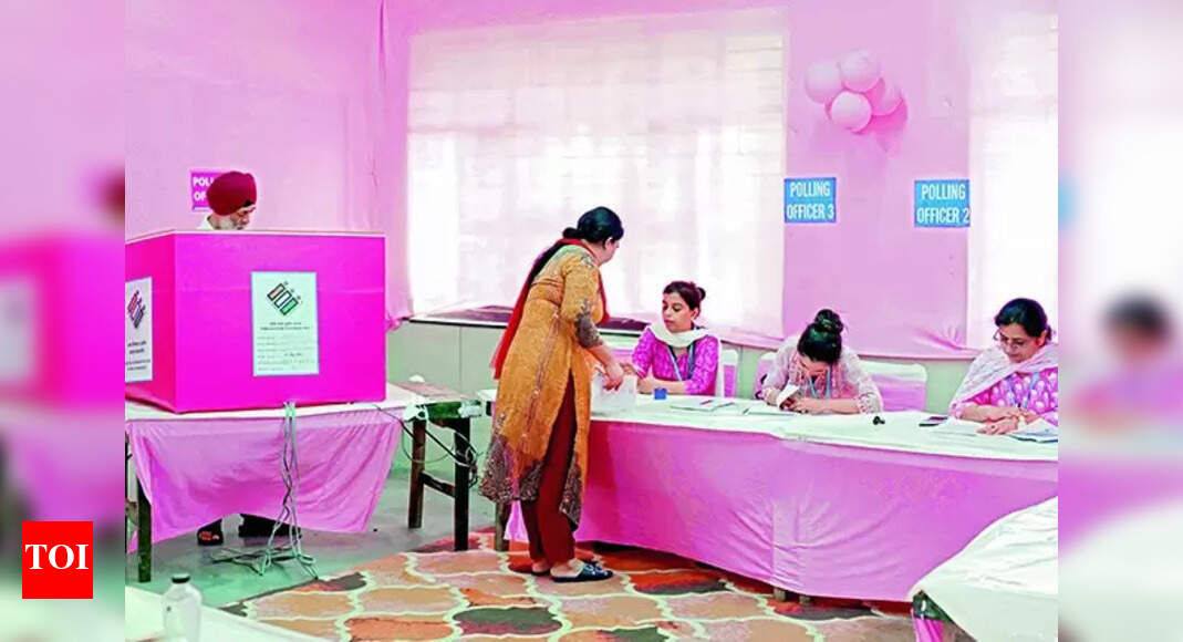 Voter Turnout: Reasons why city's upscale areas saw lower turnouts | Delhi News - Vimarsana News