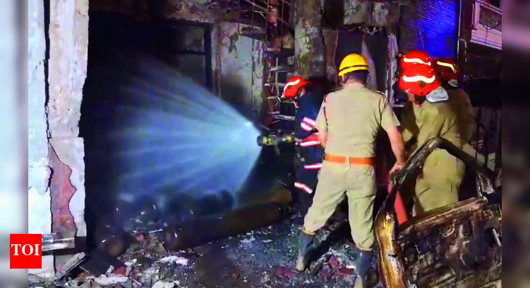 Firefighters: Bravehearts tried to save as many as possible | Delhi ...