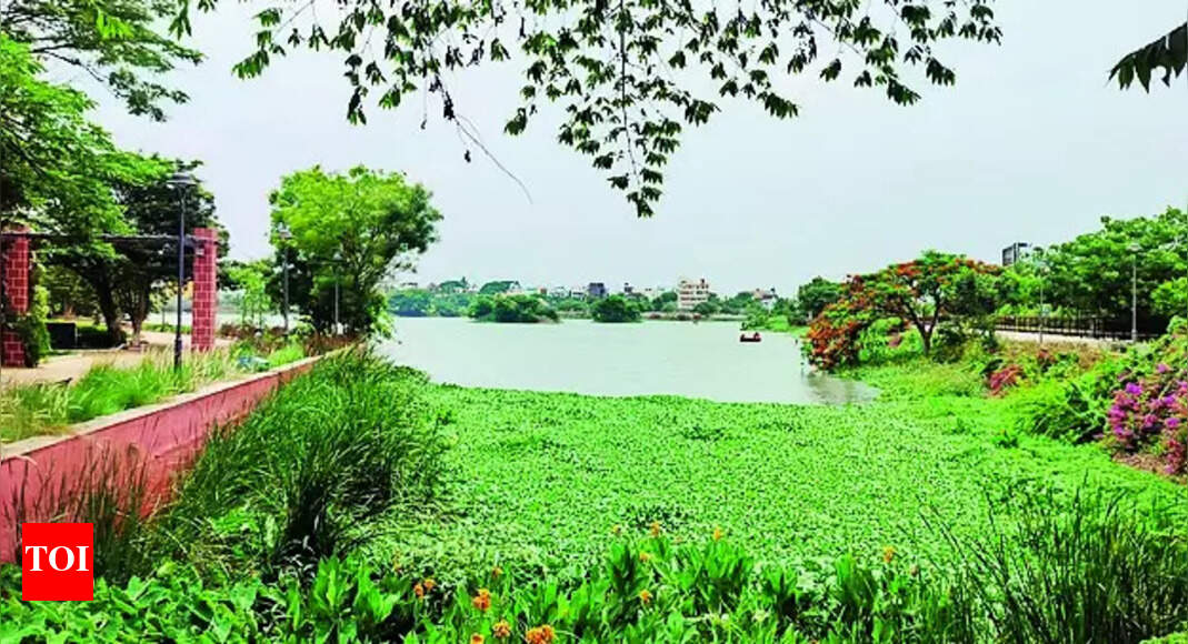 Tolanakere Lake: Neglected Tolanakere Lake Requires Immediate Attention | Hubballi News - Vimarsana News