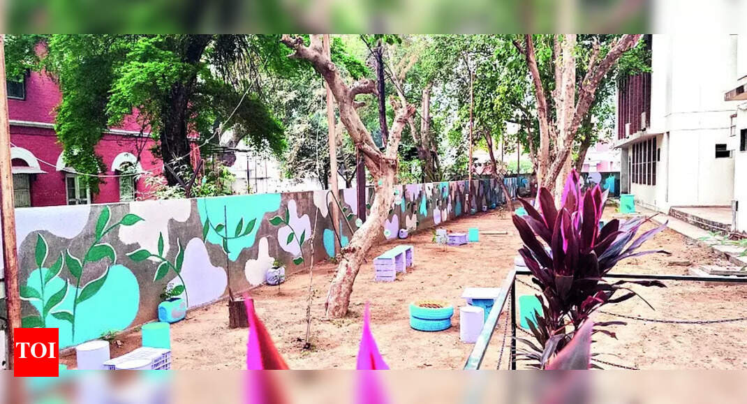 MSU Student: MSU student transforms barren land into garden | Vadodara News - Vimarsana News