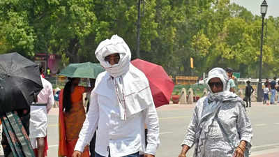 Delhi's Mungeshpur bakes at 48.3°C; IMD issues red alert for capital