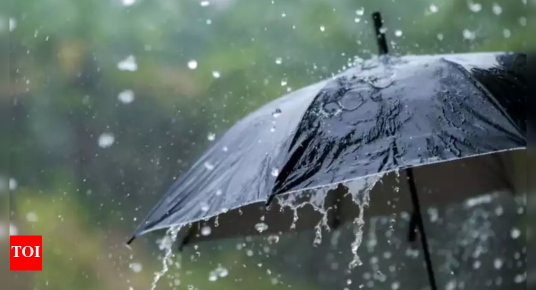 Unseasonal Rain: Unseasonal Rain Wrecks Over 10k Hectares of Cropland ...