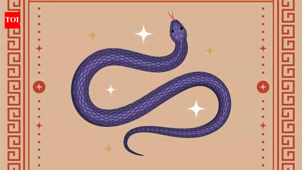 Zodiac Signs That Are Perfect Match for the Snake - The Times of India