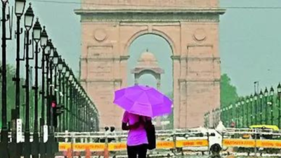 Heatwave to severe heatwave conditions, strong surface winds likely in Delhi