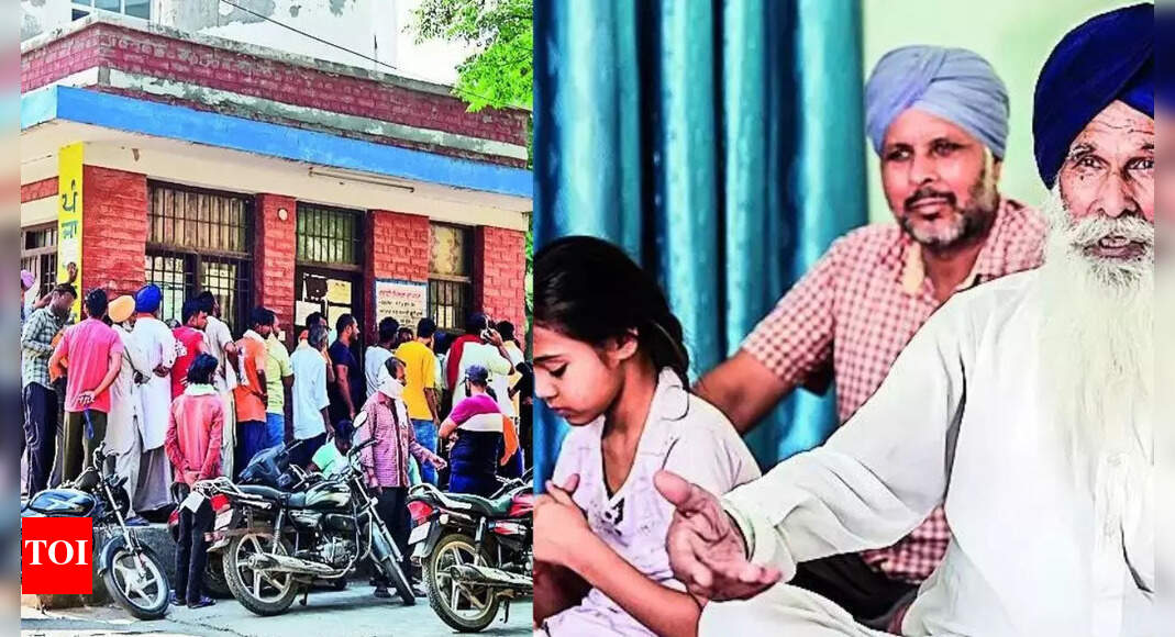 Living corpses in long queue at hospital: Drugs top Ferozepur list of woes | Ludhiana News - Vimarsana News