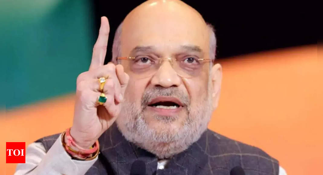 No family member of terrorists, stone pelters will get govt job in J-K: Amit Shah | India News