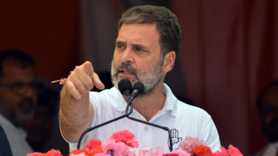 'After June 4, if ED asks PM about corruption, he will say ...': Rahul's dig at PM Modi