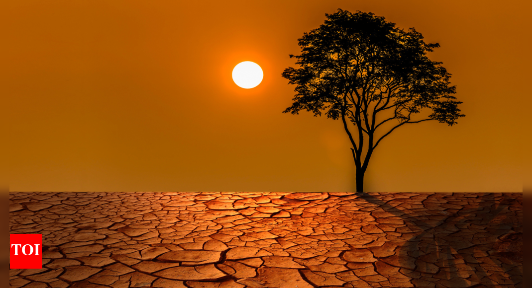 Summer sizzle or summer swizzle? Beat dehydration this season! - Vimarsana News