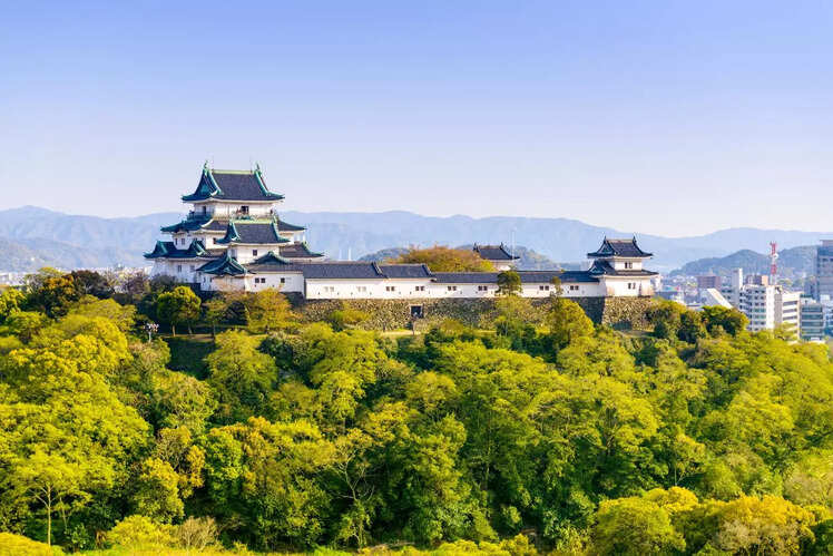 Wakayama Castle