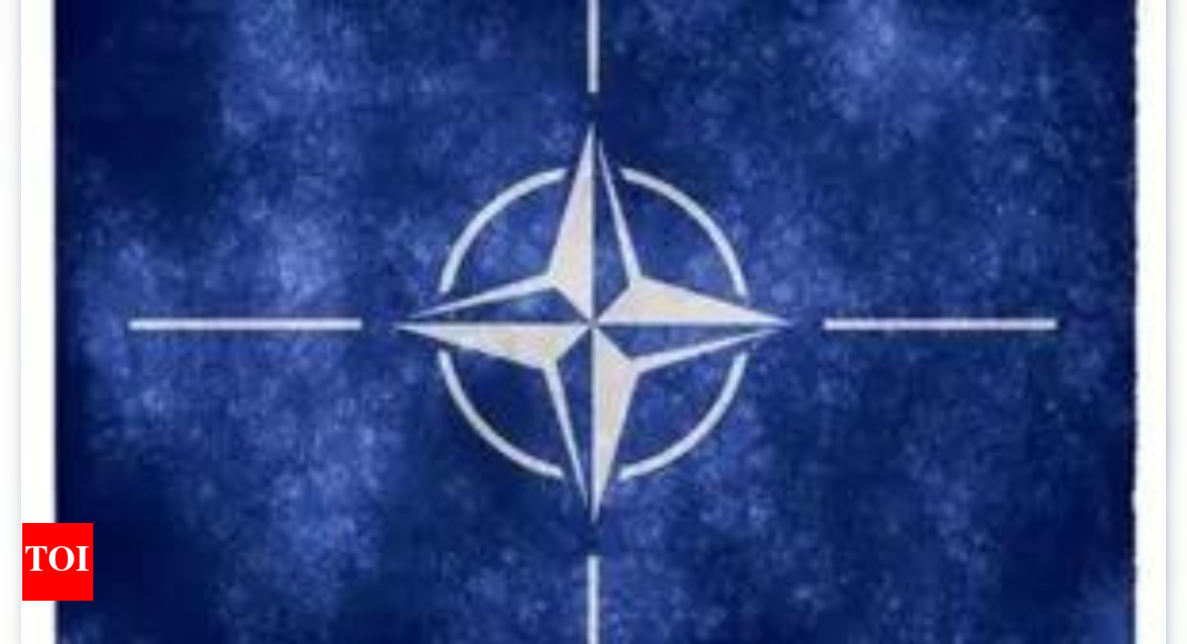 Nato states propose 'drone wall' on Russian border - Vimarsana News
