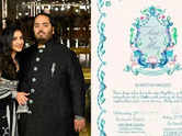 What does 'Terra and Mare' mean? Decoding the Ambani's 2nd pre-wedding invite