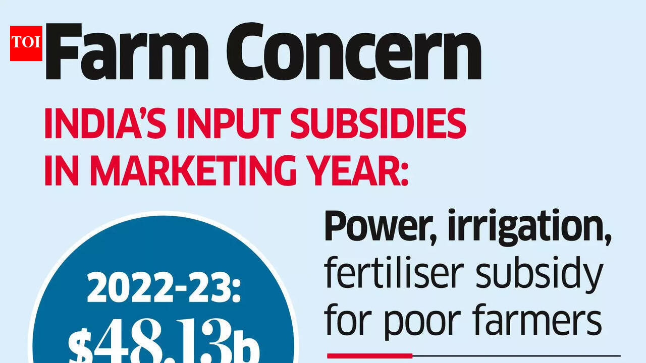 A section of WTO nations question India's farm input subsidies | India ...