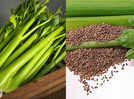 What are celery seeds? What makes them so healthy?