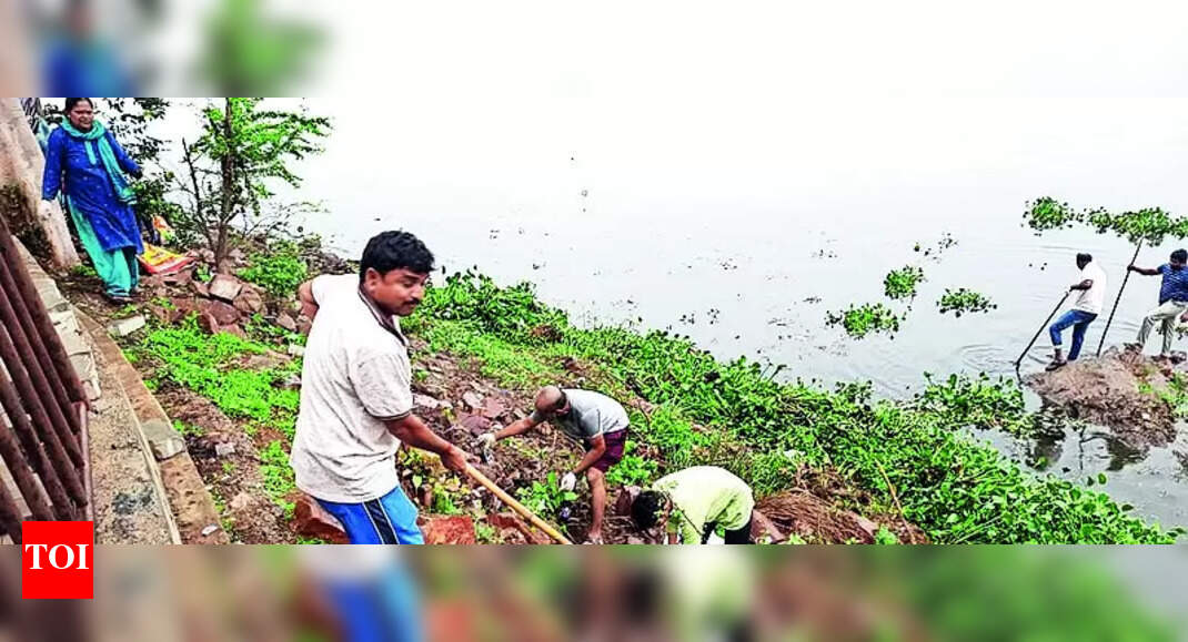 Kelgeri Lake: District judge, volunteers join hands to clean Kelgeri lake | Hubballi News - Vimarsana News
