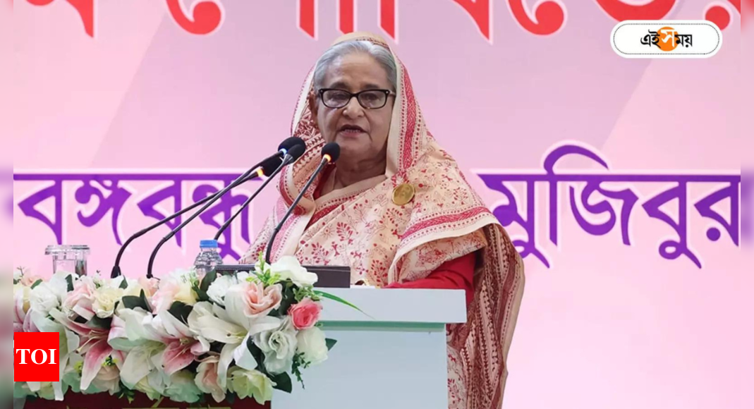‘Offered hassle-free re-election for air base in Bangladesh ‘ – Times of India