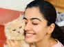 Rashmika's adorable pet prove she's a true pet baby