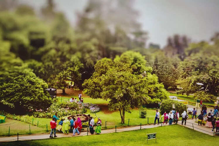 Ooty, Tamil Nadu