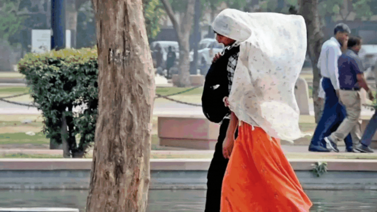 India records temperature at 50 degrees: Understanding the causes behind  country's extreme heatwave | Delhi News - Times of India
