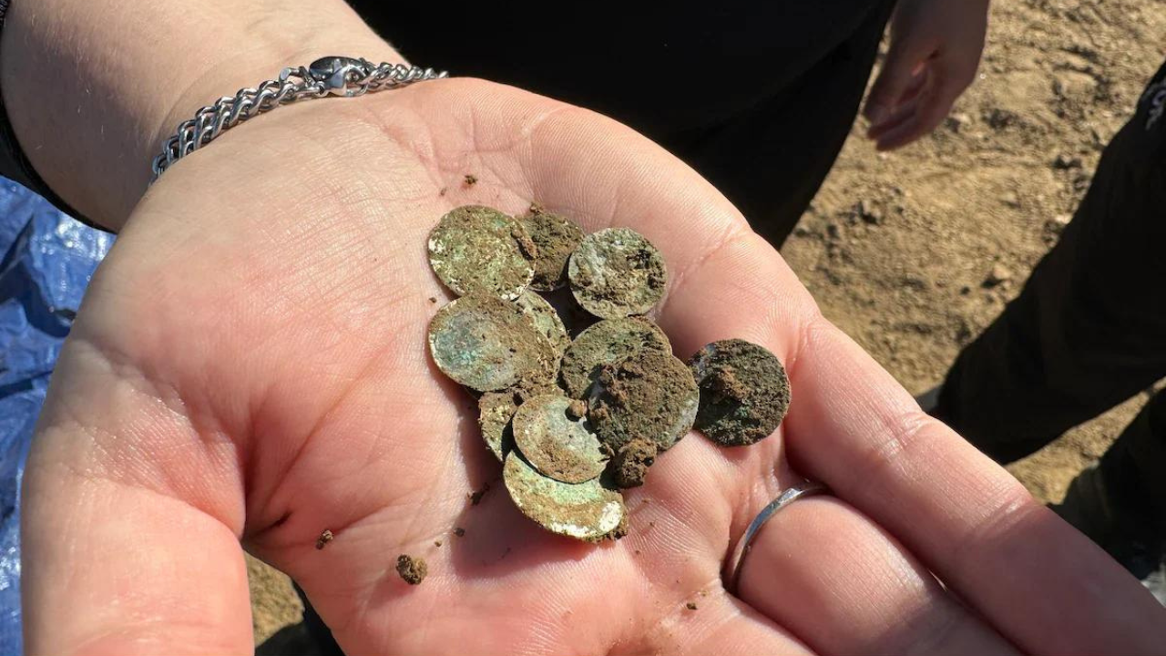 ‘Once-in-a-decade discovery’: Woman finds over 2,150  ancient silver coins while out on a walk – Times of India