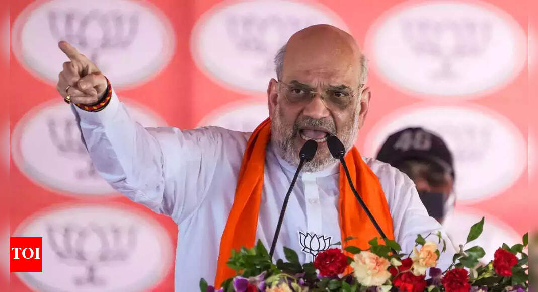More cyber fraud cases getting detected in India due to enhanced vigil, says Amit Shah | India News - Vimarsana News
