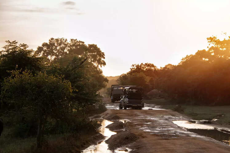 Yala National Park, Sri Lanka