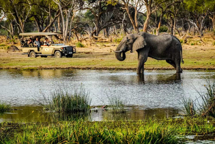 Chobe National Park, Botswana