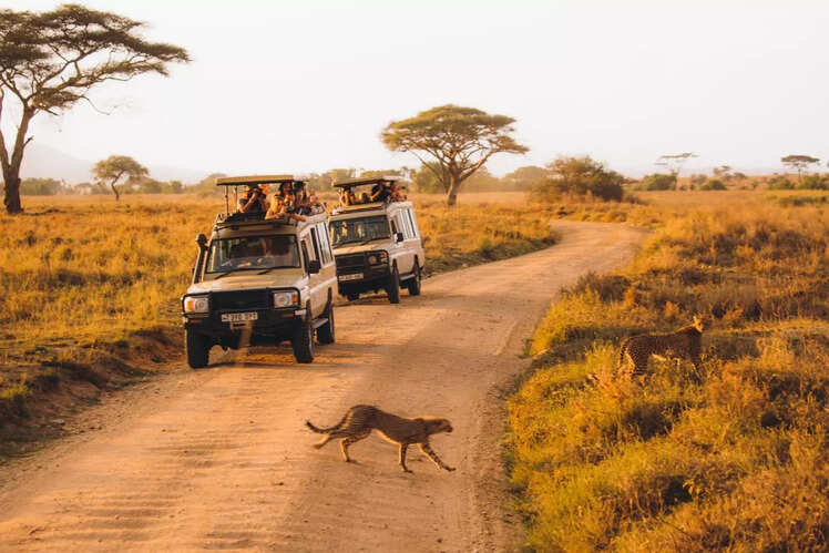 Serengeti National Park, Tanzania