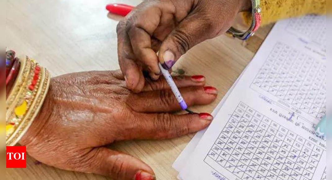 Lok Sabha polls: Names of Jamshedpur urban voters go missing from voter list | India News - Vimarsana News