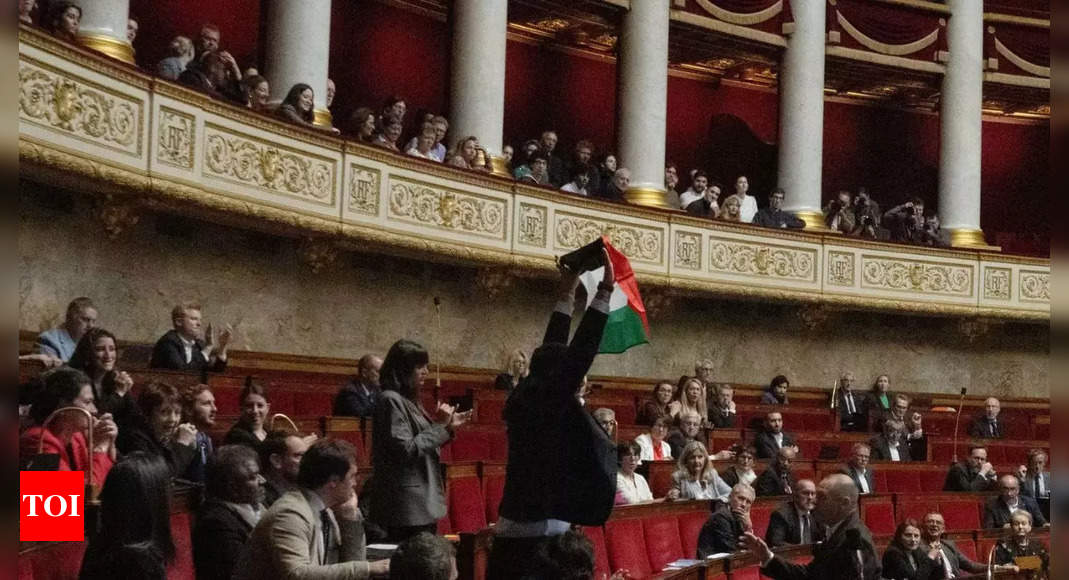 French lawmaker suspended for waving Palestinian flag in parliament debate – Times of India