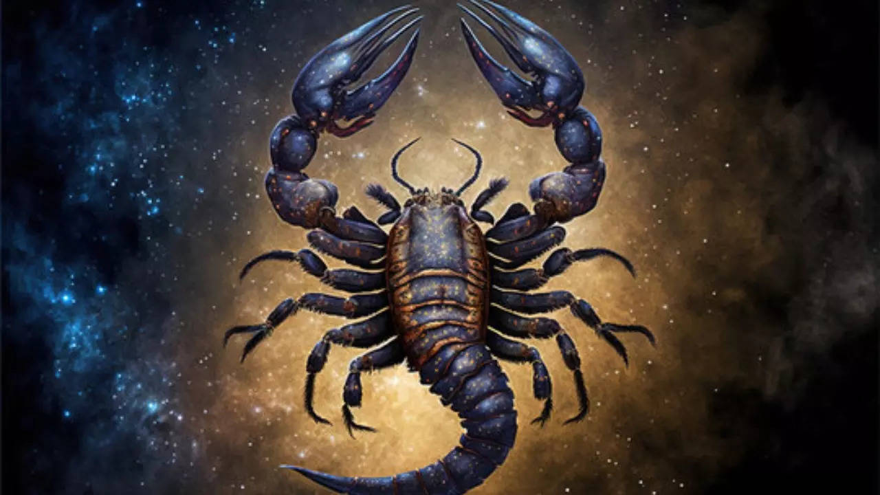 Scorpio, Horoscope Today, May 29, 2024: Powerful day for therapeutic activities – Times of India