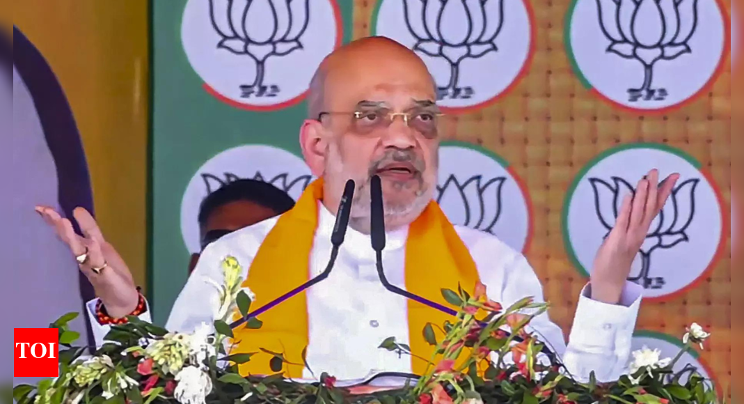Naveen should've fought from Tamil Nadu, will be ex-CM on 4th: Amit Shah | Bhubaneswar News - Vimarsana News