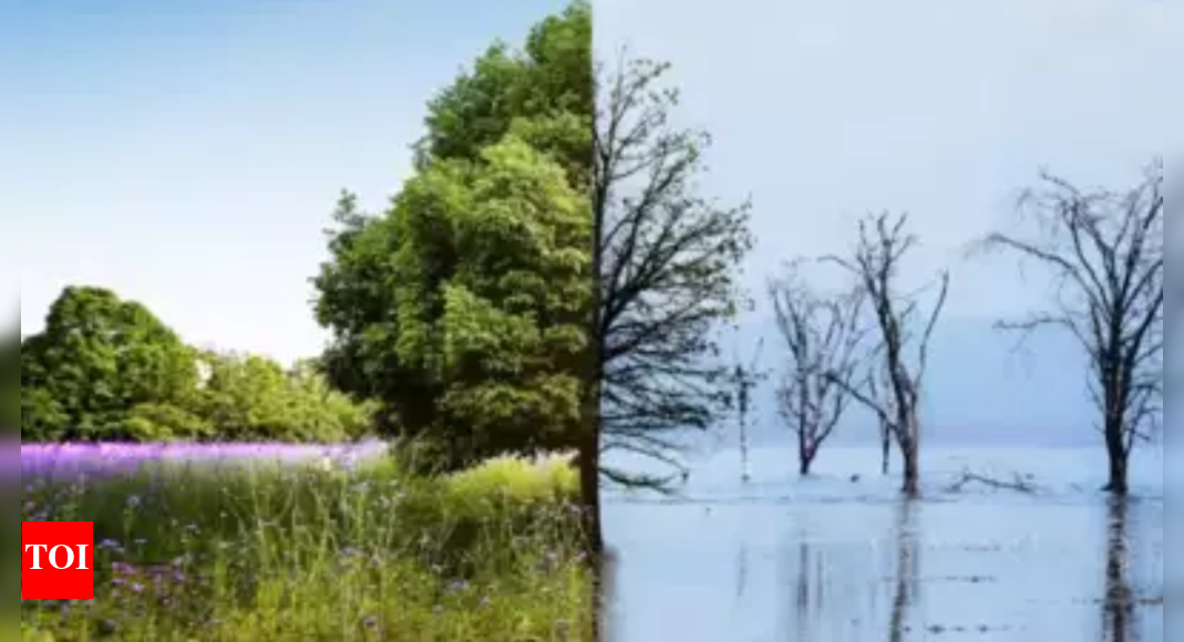 'Climate change added a month's worth of extra-hot days last year' - Vimarsana News