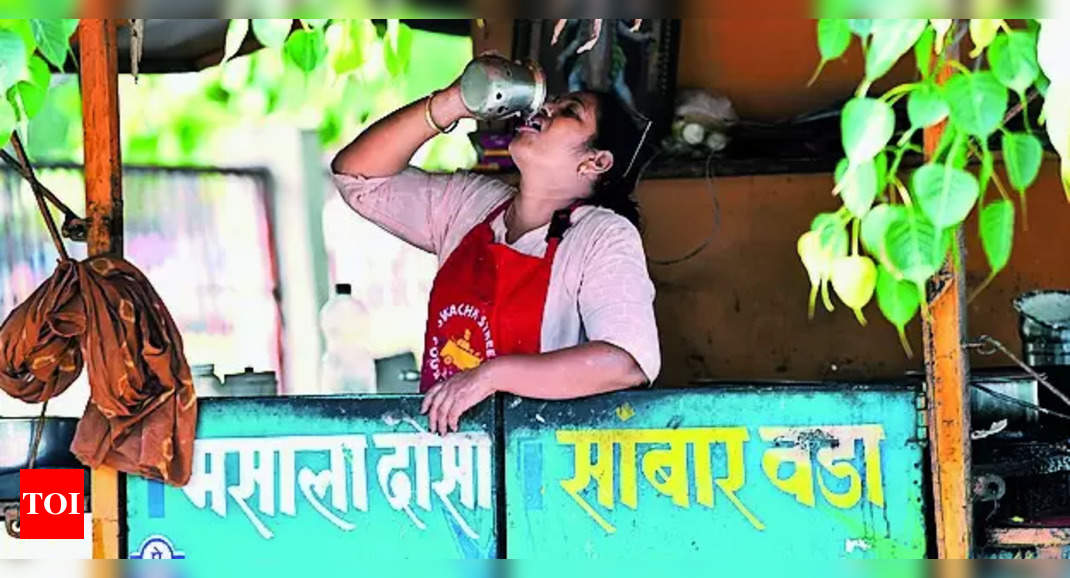 Recent Deaths in Nagpur Being Investigated as Sunstroke Cases | Nagpur ...