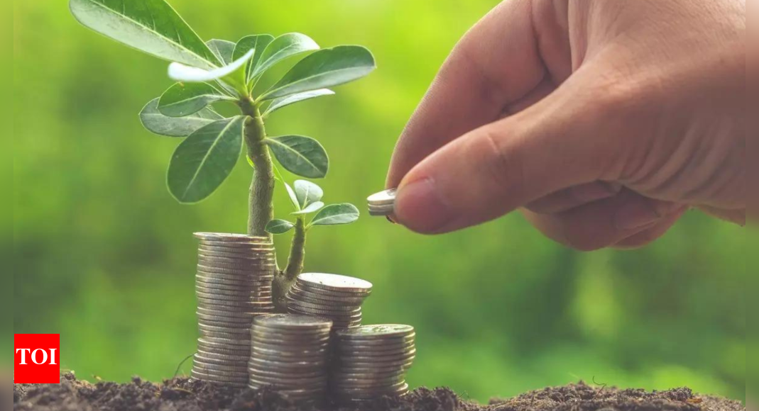 Avendus to raise $350 million for late-stage investments - Times of India