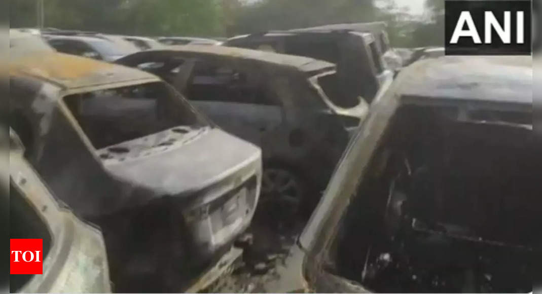 fire engulfs 19 vehicles in Delhi's Madhu Vihar parking lot