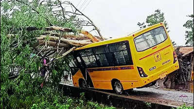 Cyclone Remal snaps power, net in Assam & Tripura